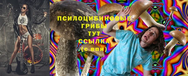 ПСИЛОЦИБИНОВЫЕ ГРИБЫ Абинск