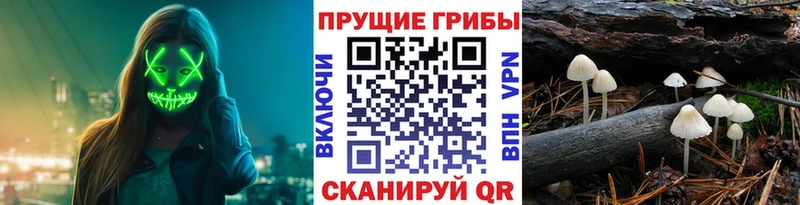 наркошоп  блэк спрут ONION  Псилоцибиновые грибы мухоморы  Починок 